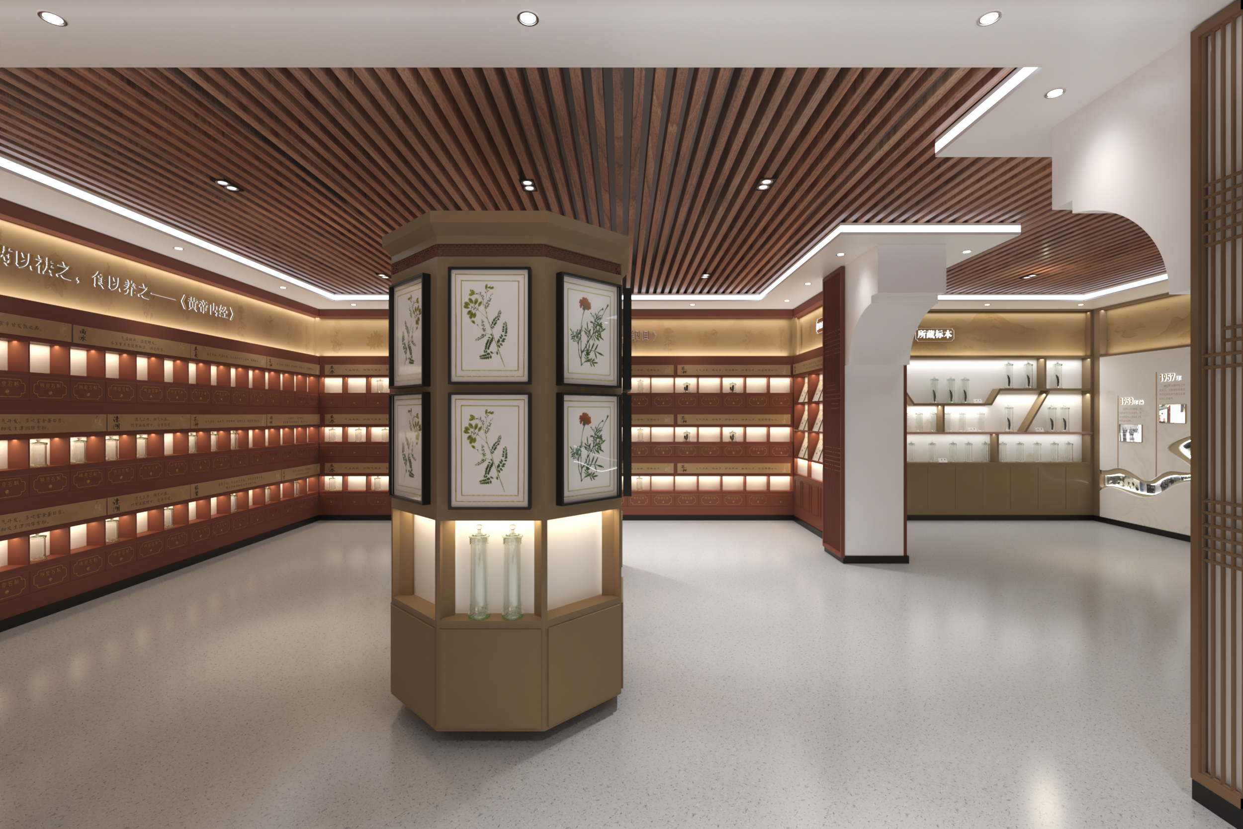 中藥標(biāo)本館2.0|從構(gòu)想到圖紙創(chuàng)意逐步落地生根!